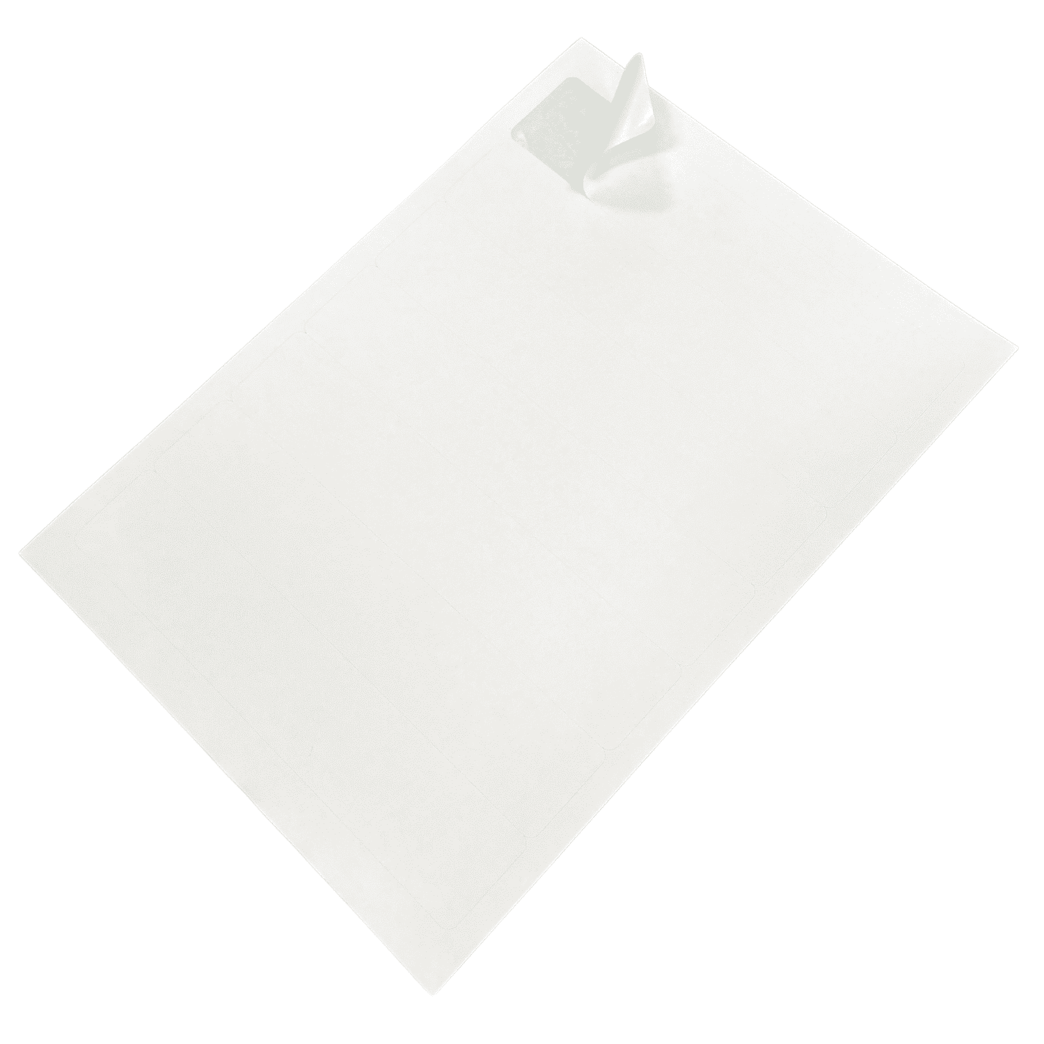 Special Delivery/Signed For Laser Labels - 192x39mm